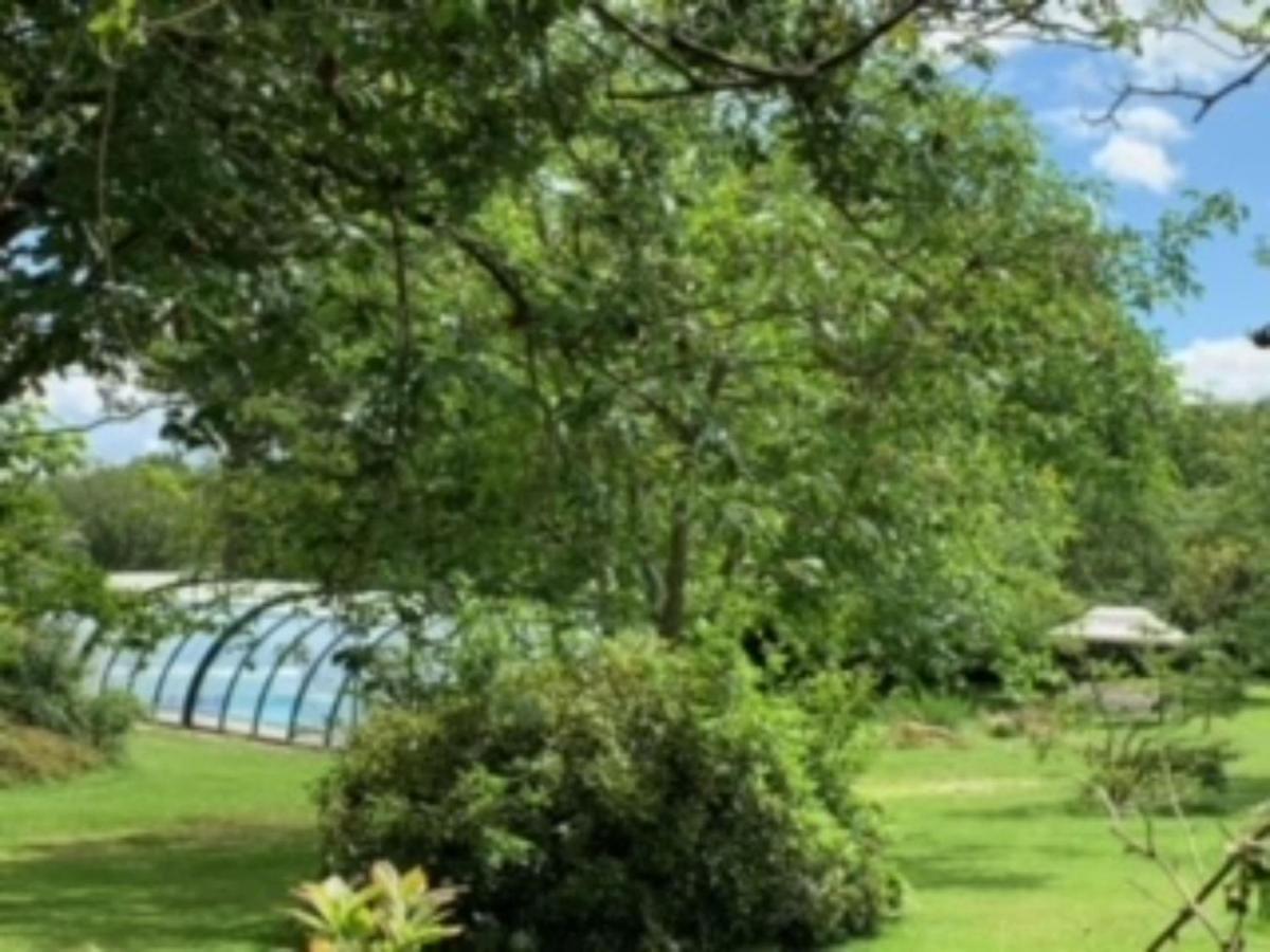 La Clotiere Bed & Breakfast La Guerche-de-Bretagne ภายนอก รูปภาพ